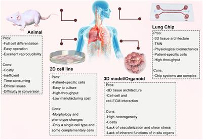 Progress and application of lung-on-a-chip for lung cancer